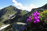 Anello del Pizzo delle segade dal Passo San Marco il 5 giugno 2018